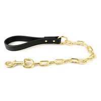 Gold Studded Collar Matching Lead
