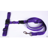 Handsfree Dog leash [Purple]