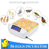 56 Egg incubator - Suits Chickens, Quail. Geese, Duck eggs