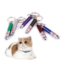 2in1 Laser Pointer and Torch - Great Cat Toy