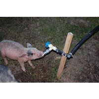 Automatic Pig Fountain drinking tap