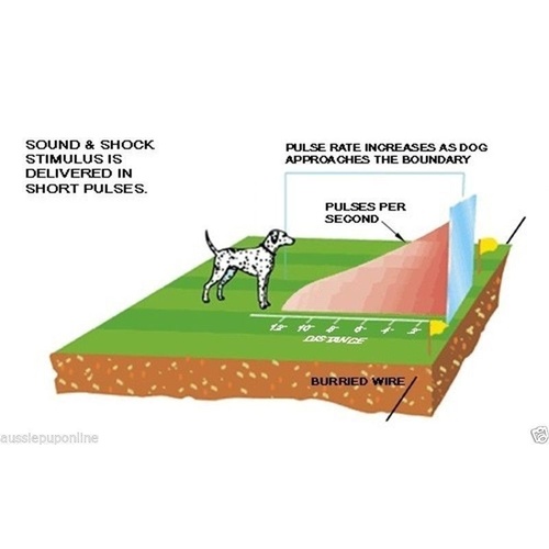 Pet Dog Hidden Wire Fence (023)