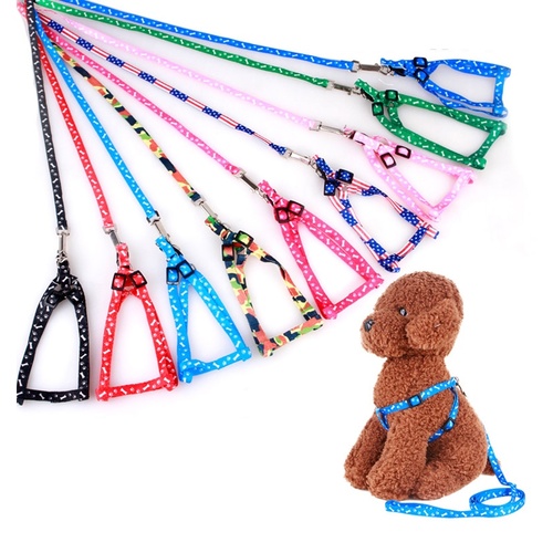 Small Pet Harness and Leash set