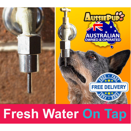 Australian Dog Drinking Fountain