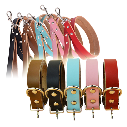 Leather Dog Collar and Leads