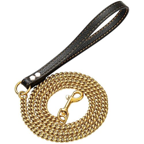 Gold Rolled Chain Dog Leash