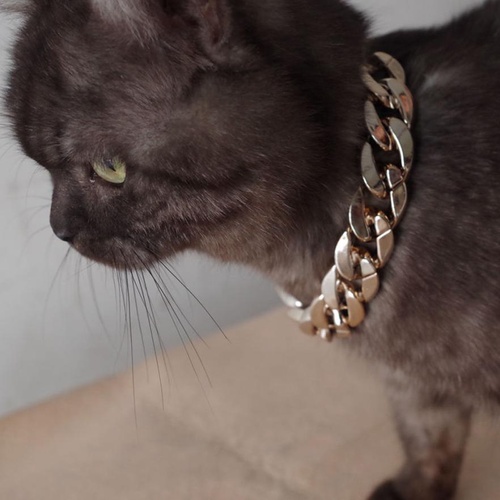 Gold Cuban Chain Cat Collars