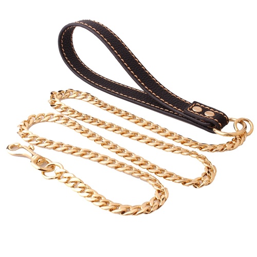 gold dog chain and leash