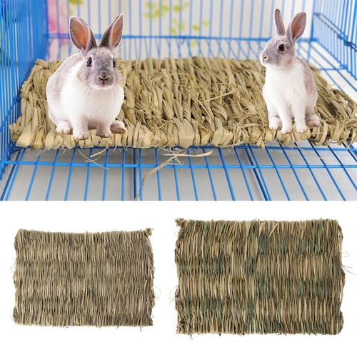 Grass Pet Mat for Reptiles, Rabbits, Ginuea Pigs etc.