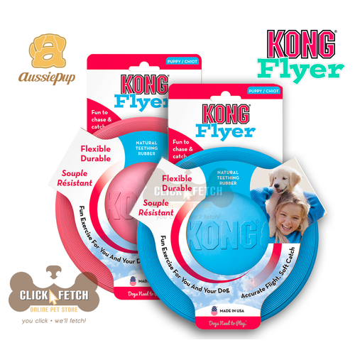 kong puppy flyer