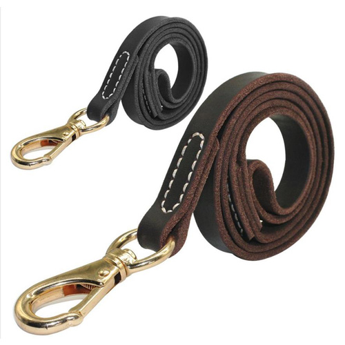 Genuine Leather Dog Lead - Parrot Clip