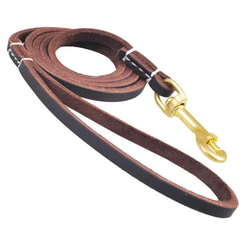 Low Profile Genuine Leather Lead with Strong Brass Buckle