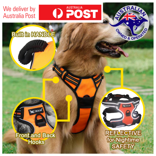 Dog Harness - Prevents dogs from pulling